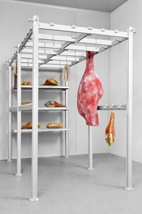 Meat Rail Systems TONON